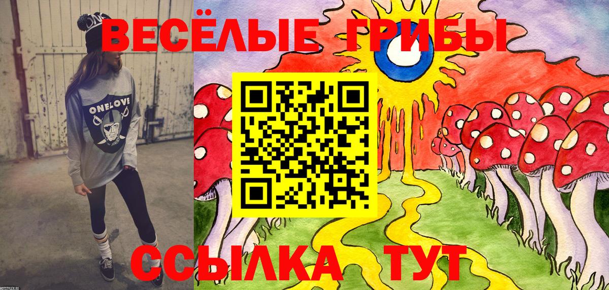 где купить наркотик  Вход с VPN  Бахчисарай  Псилоцибиновые грибы GOLDEN TEACHER 